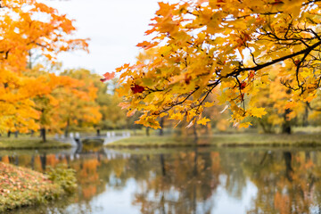 Fototapeta na wymiar beautiful autumn park at sunny weather
