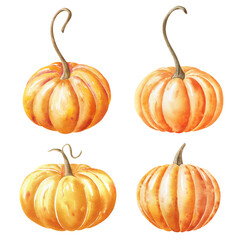 Watercolor illustration set – Pumpkins on white background.