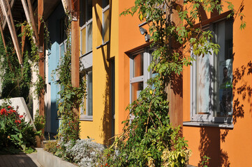 Fototapeta na wymiar Colorful eco apartments in Brussels