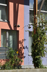 Colorful eco apartments in Brussels
