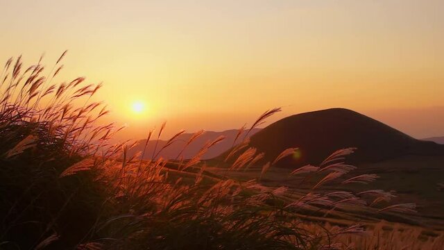 くっしーさんの投稿/阿蘇山 ｜ ことりっぷ