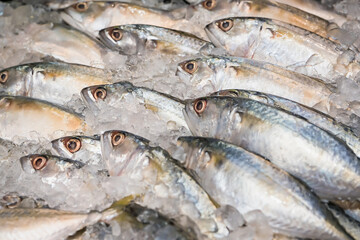 Obraz premium Fresh fish on ice display in a supermarket.