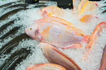 Fresh fish on ice display in a supermarket.