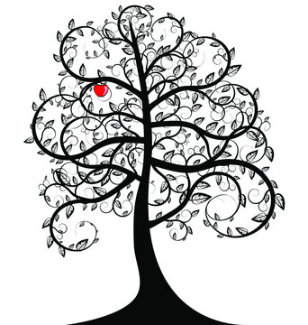 white background and the abstract black tree with red apple