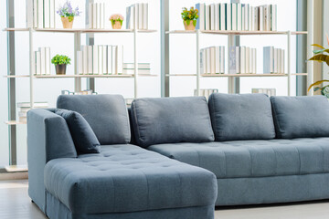 Interior modern living room with blue couch and bookshelf.