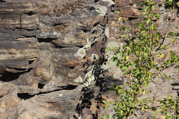 natural rocks zuevsky landscape park