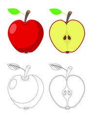 red apple coloring book, vector illustration 