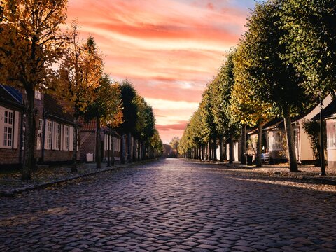 street in autumn