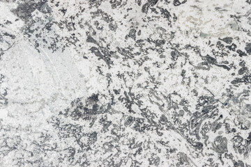 Abstract background with lines and points. Wonderful marble texture