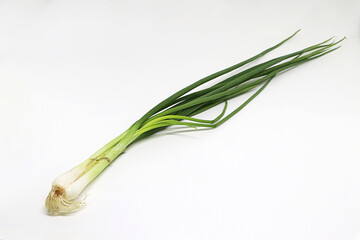 spring onion isolated on white background, closeup green onions..