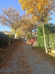 Otoño y sus colores