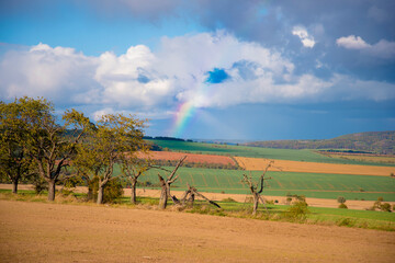 Regenbogen