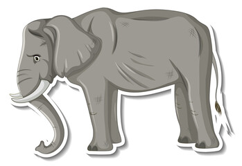Obraz premium Skinny elephant animal cartoon sticker