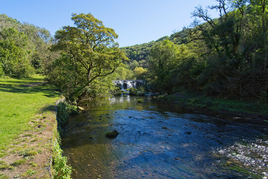 Standing on the banks of the River Wye in Monsal Dale, looking towards a weir on a bright late summer morning.