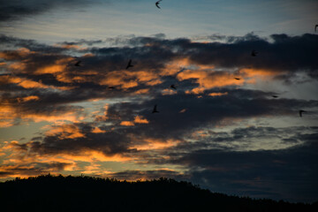 Tramonto con uccelli in sottofondo