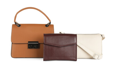 Collection of stylish women's bags on white background