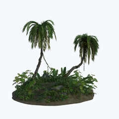 palm tree on the beach