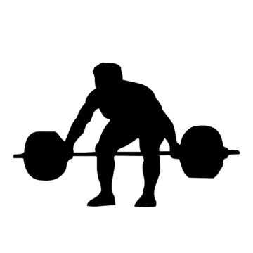 barbels dumbels weight lifting