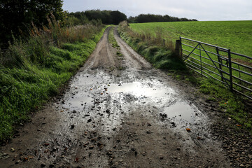 Muddy Country Lane on an Autumnal Early Evening