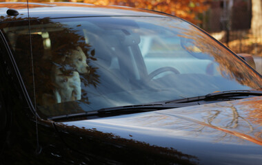 Obraz premium white dog sitting in a black car in the front seat 