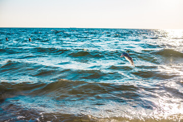 Rays of sunlight on waves of blue sea or ocean water