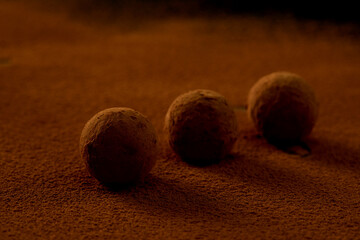Truffles with cocoa, coconut and sesame seeds with chocolate with cocoa powder, delicious dessert under dramatic lighting