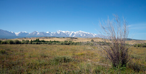 Nice view of snowy mountains and steppe in summer