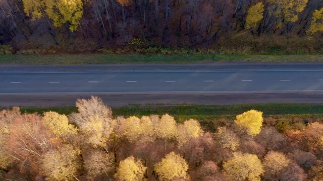 Empty highway with special road markings, top view. A beautiful forest with tall trees and yellow foliage surrounds the dorga. Regional highway. High quality. 4k footage.