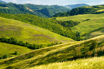 Obraz premium Rural landscape on the hills near Bologna, Emilia-Romagna.