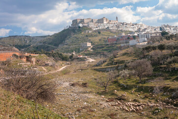 Fototapeta na wymiar Minervino Murge. Barletta Andria Trani. Panorama della valle con armento di pecore e la cittadina sulla collina.