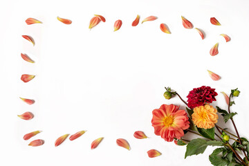 Orange bouquet of dahlias and petals isolated on a white background with space for text