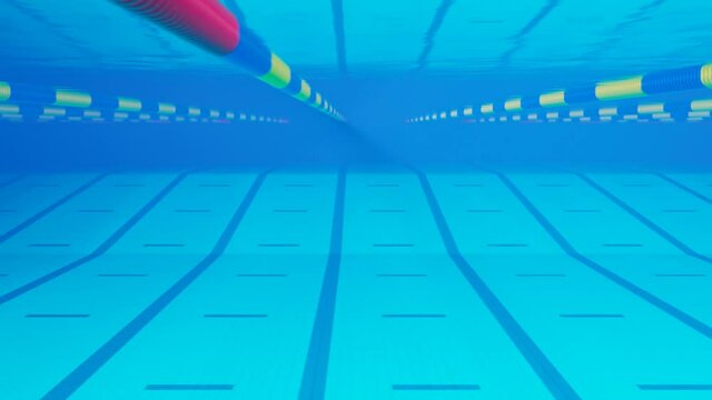 Looping animation of swimming in the Olympic swimming pool. Underwater footage.