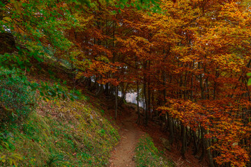 Hojas en oto&ntilde;o en la Senda de los Cazadores