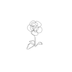 Continuous line drawing of rose flower, nature design, object one line, single line art, vector illustration