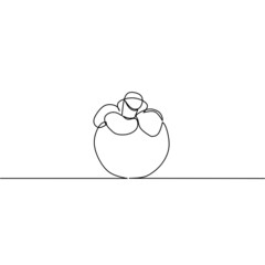 Continuous line drawing of mangosteen, fruit design, object one line, single line art, hand drawn, vector illustration