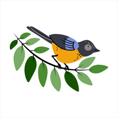 Little bird sitting on a branch, isolated vector illustration