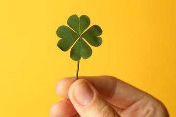 Woman holding green four leaf clover on yellow background, closeup