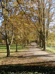 Naklejka premium Die Orangerie und der Schloßpark in Meuselwitz im Altenburger Land, Von-Seckendorf-Park