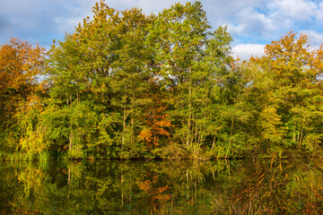 Fototapeta premium Herbsliche Vegetation am Ufer der Eider in Schleswig-Holstein