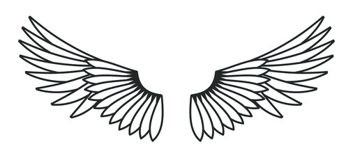 Wings vector illustration. Bird wing silhouette.