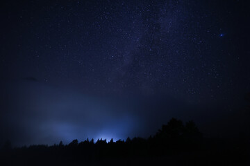 Fototapeta na wymiar Beautiful view of starry sky over dark misty forest at night