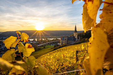 Sonnenuntergang in Bad Hönningen mit Schloss zwischen den Blättern