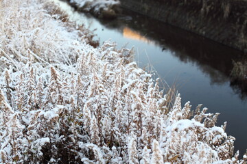 川原の草むらの雪景色
