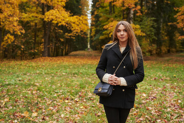 young beautiful woman in a meadow strewn with autumn leaves in autumn in the park