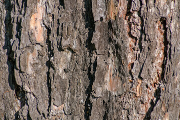 texture
