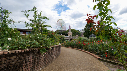 ローズガーデンと観覧車