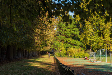 Bunte Herbsstimmung in einem Park an einem sonnigen Oktobertag