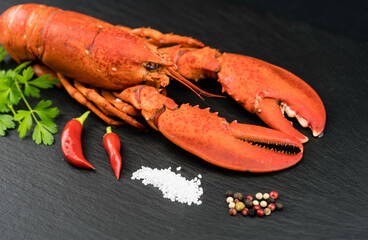Meeresfrüchte Mahlzeit mit frisch gekochten roten Hummer