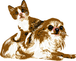a cat and a dog get together in harmony, a long-haired dog is lying, and a mini cat is sitting on the dog, they both in brown and white and gray colors, isolated vector.