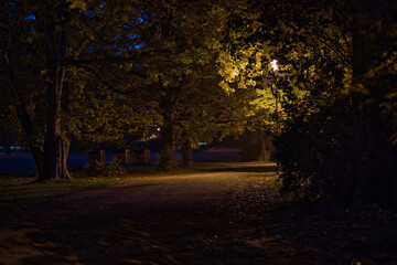Morgens Früh im dunkeln im Park an einem Herbsttag -  Leipzig,  Johanna Park (Clara-Zetkin-Park)